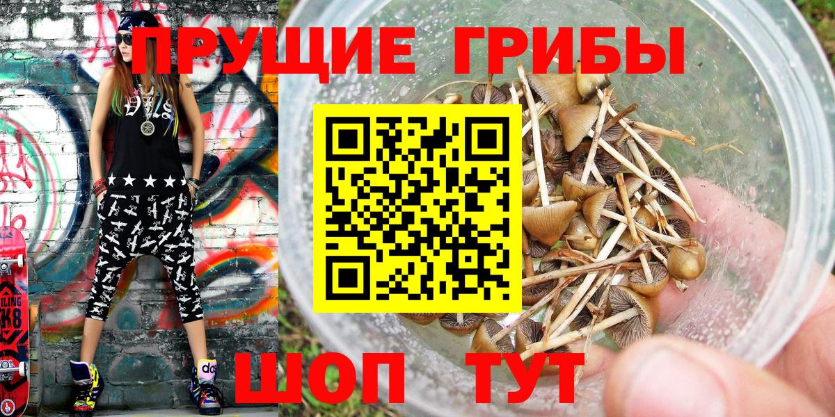 Псилоцибиновые грибы Magic Shrooms Чехов